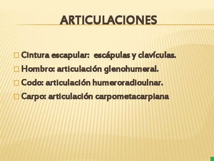 ARTICULACIONES � Cintura escapular: escápulas y clavículas. � Hombro: articulación glenohumeral. � Codo: articulación