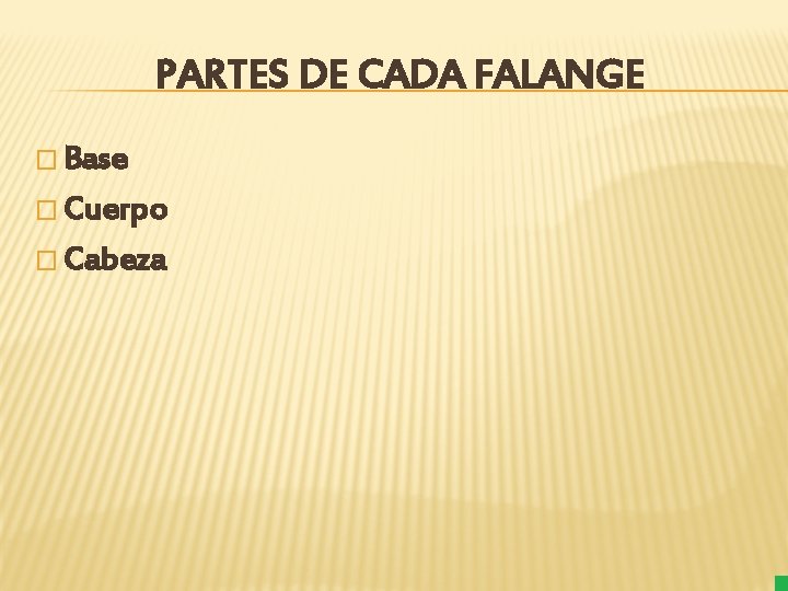 PARTES DE CADA FALANGE � Base � Cuerpo � Cabeza 