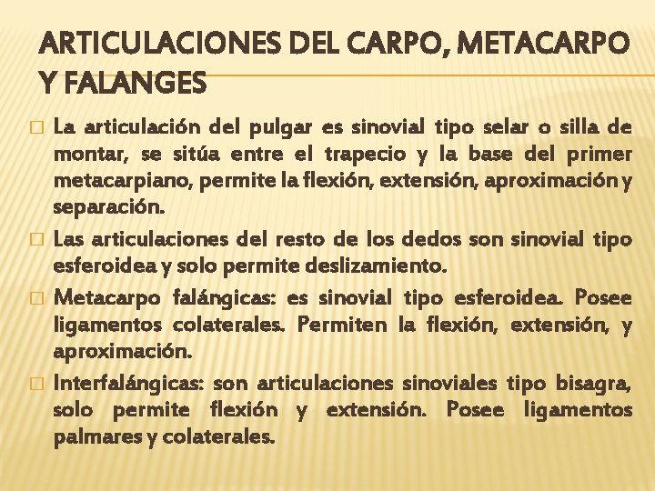 ARTICULACIONES DEL CARPO, METACARPO Y FALANGES La articulación del pulgar es sinovial tipo selar