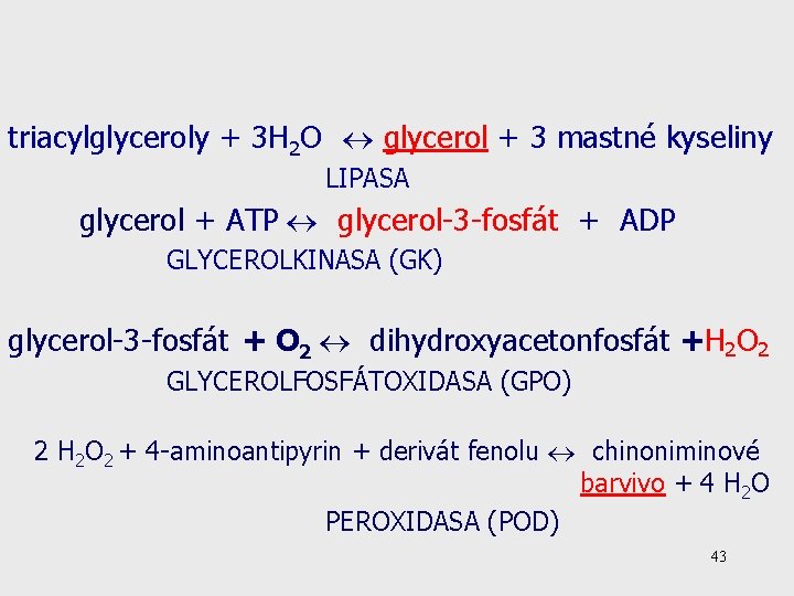 triacylglyceroly + 3 H 2 O glycerol + 3 mastné kyseliny LIPASA glycerol +