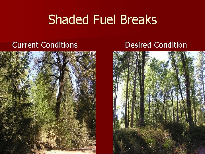 Shaded Fuel Breaks Current Conditions Desired Condition 