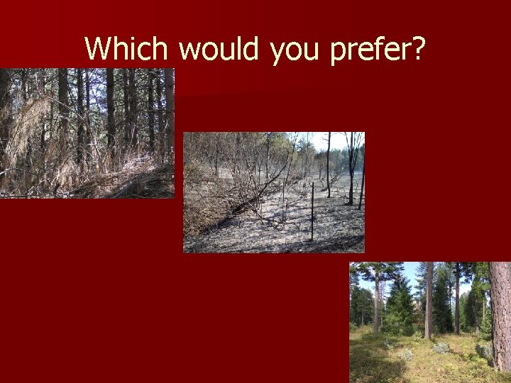 Which would you prefer? 