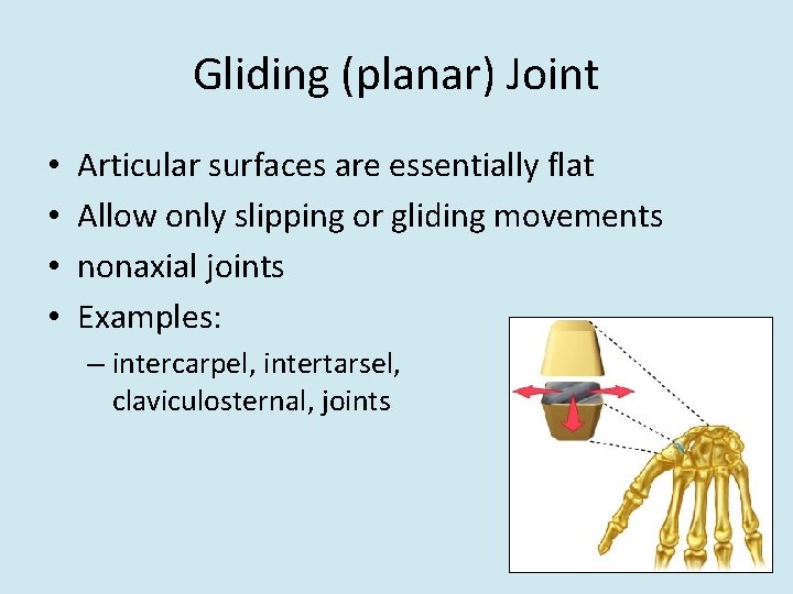 Gliding (planar) Joint • • Articular surfaces are essentially flat Allow only slipping or