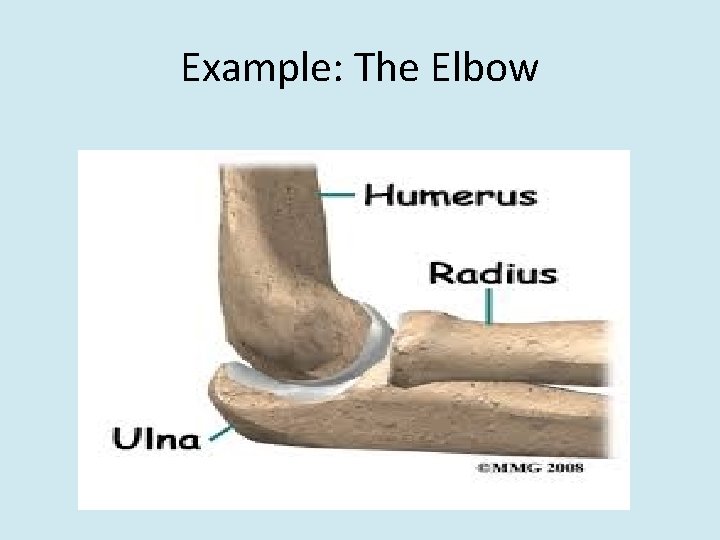 Example: The Elbow 
