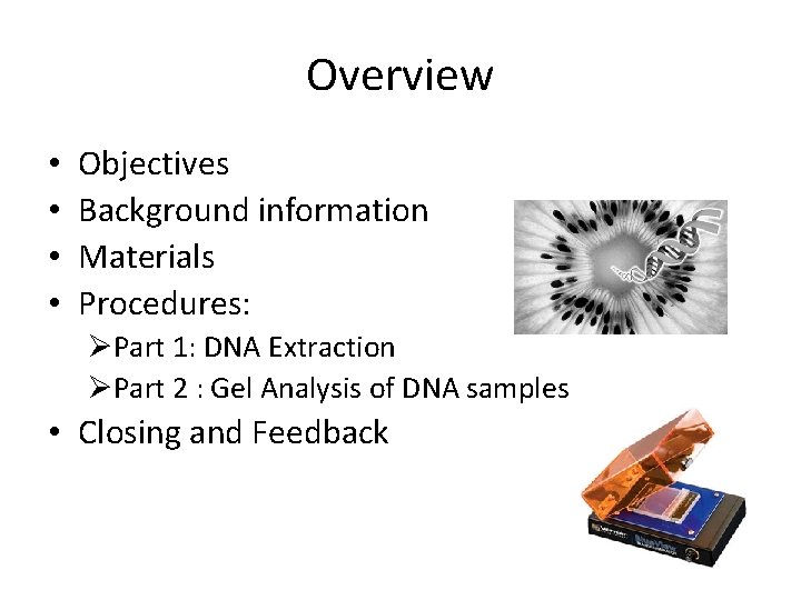 Overview • • Objectives Background information Materials Procedures: ØPart 1: DNA Extraction ØPart 2