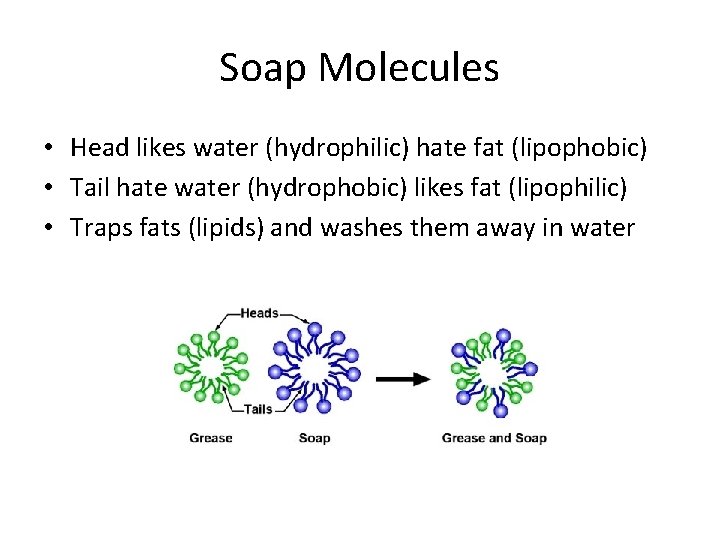 Soap Molecules • Head likes water (hydrophilic) hate fat (lipophobic) • Tail hate water