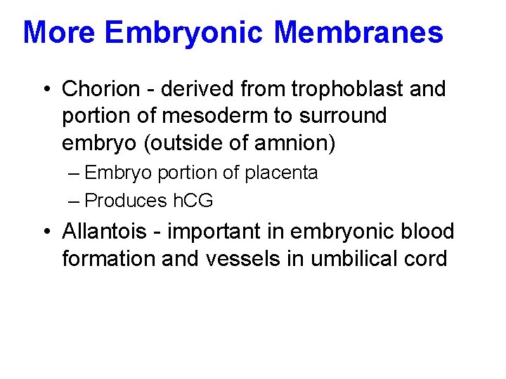 More Embryonic Membranes • Chorion - derived from trophoblast and portion of mesoderm to