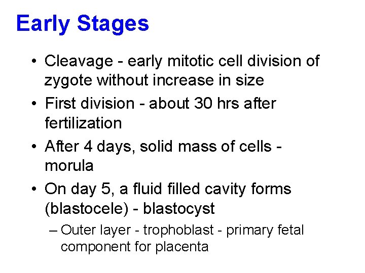 Early Stages • Cleavage - early mitotic cell division of zygote without increase in
