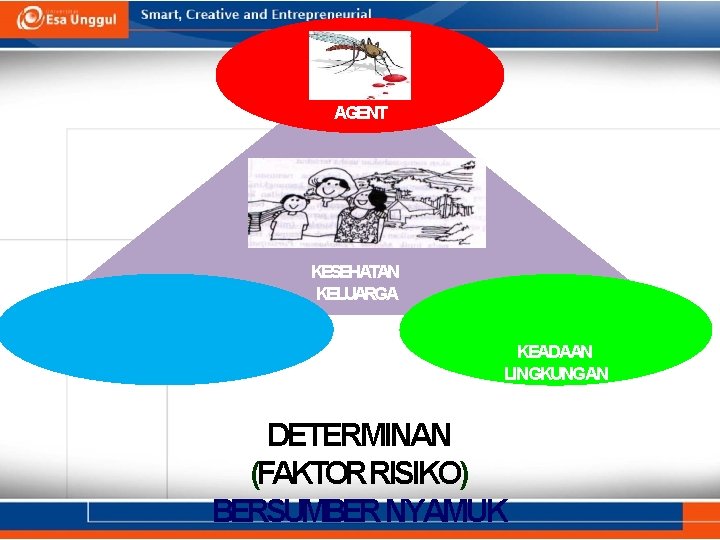 AGENT KESEHATAN KELUARGA PENJAMU (MANUSIA) KEADAAN LINGKUNGAN DETERMINAN (FAKTORRISIKO) BERSUMBER NYAMUK 