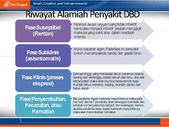 Riwayat Alamiah Penyakit DBD Fase Suseptibel (Rentan) Fase Subklinis (asismtomatis) • Nyamuk Aedes aegypti