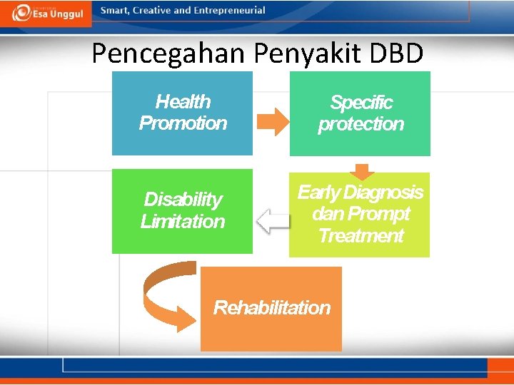 Pencegahan Penyakit DBD Health Promotion Specific protection Disability Limitation Early Diagnosis dan Prompt Treatment