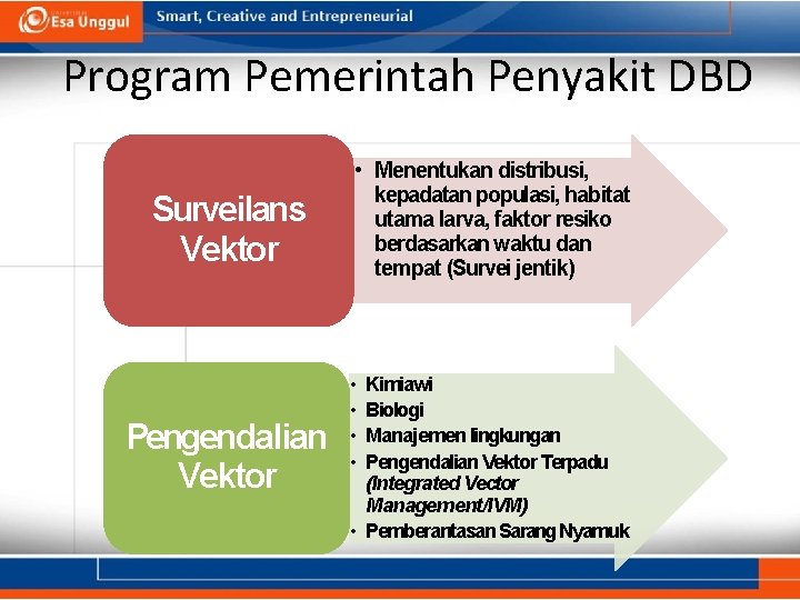 Program Pemerintah Penyakit DBD Surveilans Vektor Pengendalian Vektor • Menentukan distribusi, kepadatan populasi, habitat