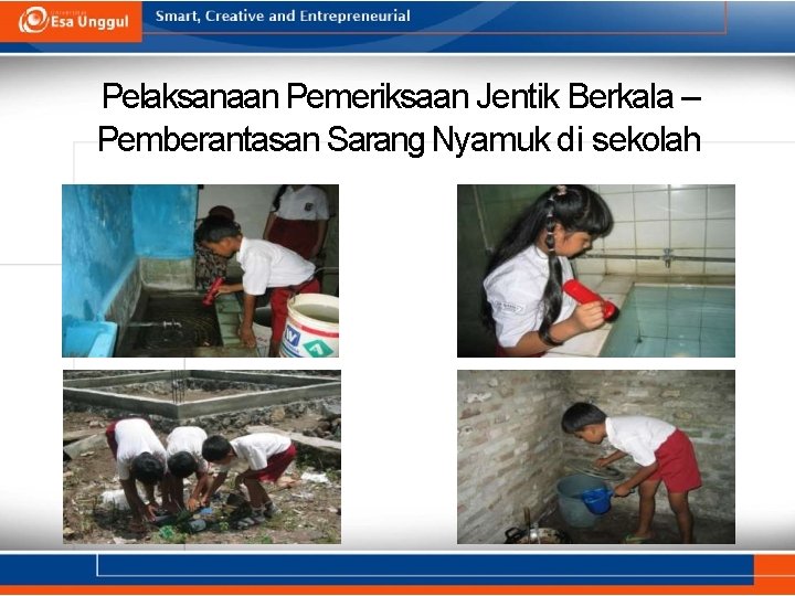 Pelaksanaan Pemeriksaan Jentik Berkala – Pemberantasan Sarang Nyamuk di sekolah 