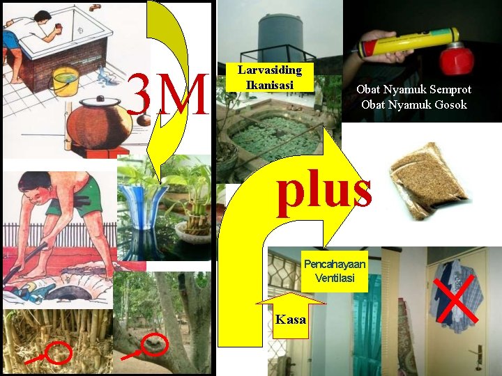 3 M Larvasiding Ikanisasi Obat Nyamuk Semprot Obat Nyamuk Gosok plus Pencahayaan Ventilasi Kasa