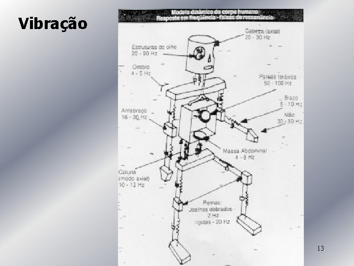 Vibração 13 