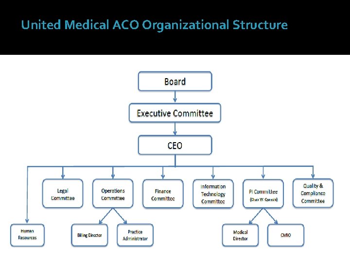 United Medical ACO Organizational Structure 