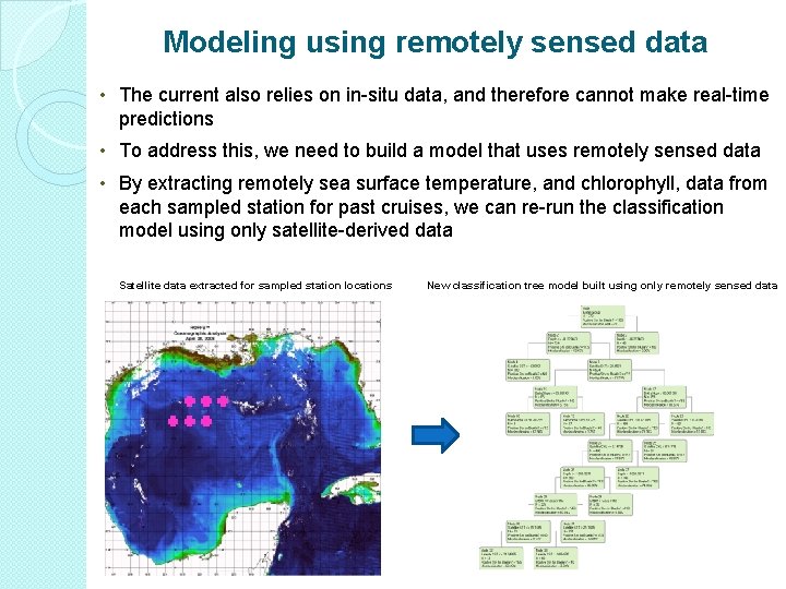 Modeling using remotely sensed data • The current also relies on in-situ data, and