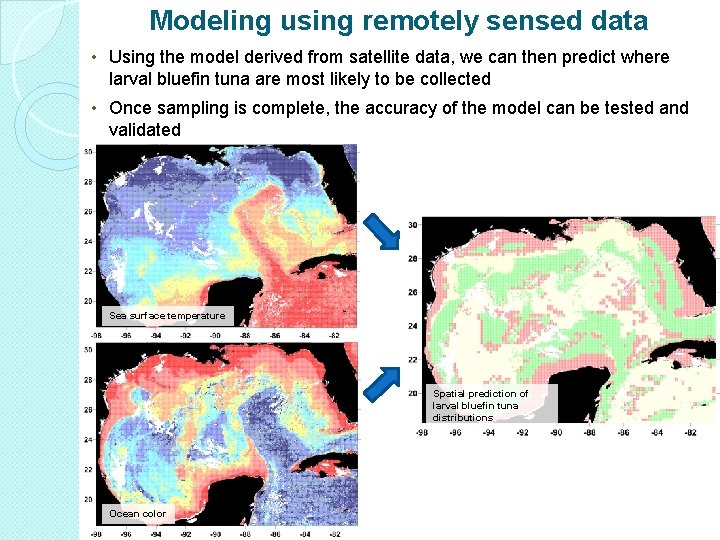 Modeling using remotely sensed data • Using the model derived from satellite data, we