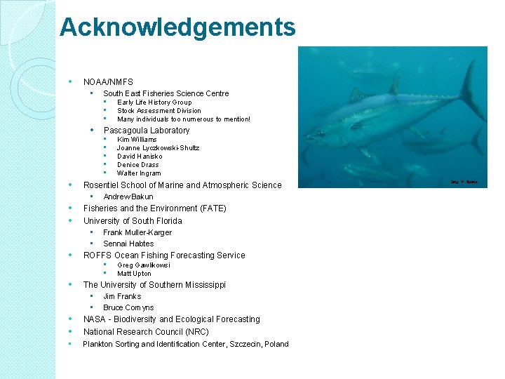 Acknowledgements • NOAA/NMFS • • • Andrew Bakun Fisheries and the Environment (FATE) University