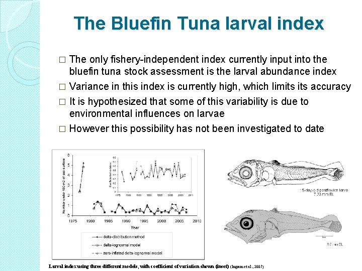 The Bluefin Tuna larval index � The only fishery-independent index currently input into the