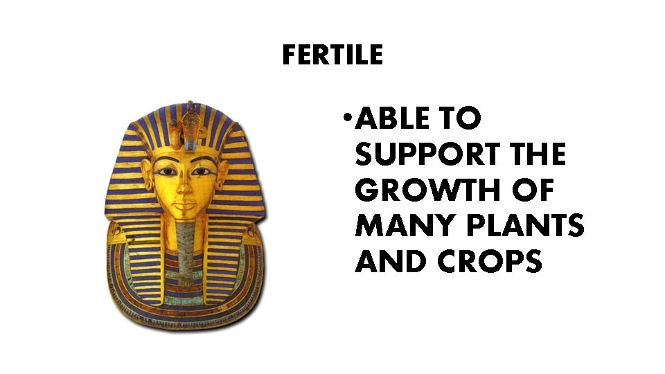 FERTILE • ABLE TO SUPPORT THE GROWTH OF MANY PLANTS AND CROPS 