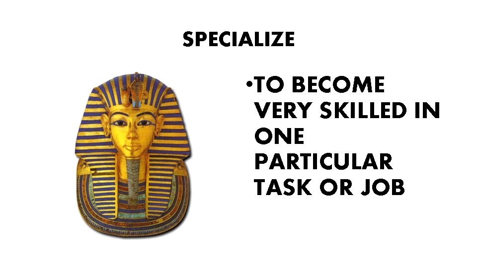 SPECIALIZE • TO BECOME VERY SKILLED IN ONE PARTICULAR TASK OR JOB 