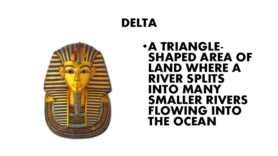 DELTA • A TRIANGLESHAPED AREA OF LAND WHERE A RIVER SPLITS INTO MANY SMALLER