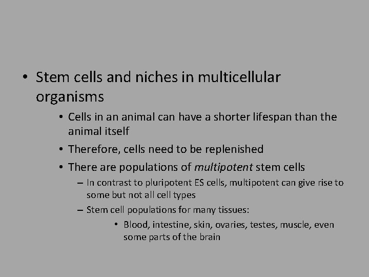  • Stem cells and niches in multicellular organisms • Cells in an animal