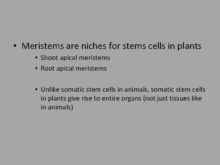  • Meristems are niches for stems cells in plants • Shoot apical meristems