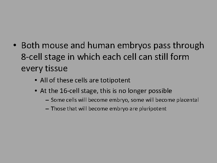  • Both mouse and human embryos pass through 8 -cell stage in which