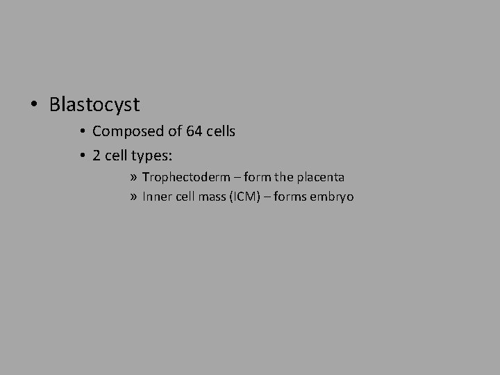  • Blastocyst • Composed of 64 cells • 2 cell types: » Trophectoderm