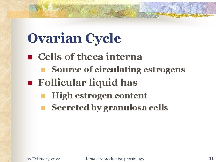 Ovarian Cycle n Cells of theca interna n n Source of circulating estrogens Follicular