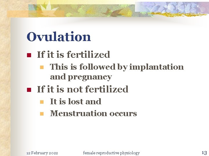 Ovulation n If it is fertilized n n This is followed by implantation and