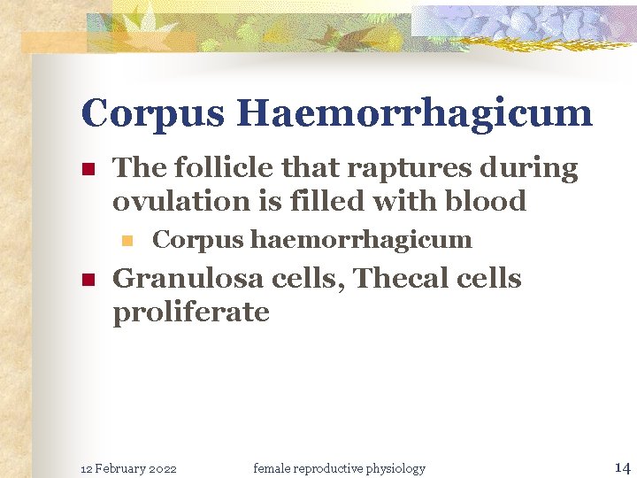 Corpus Haemorrhagicum n The follicle that raptures during ovulation is filled with blood n