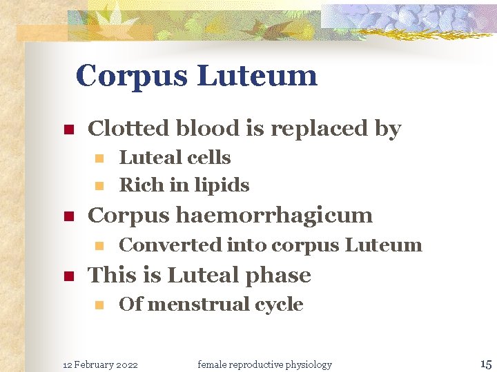 Corpus Luteum n Clotted blood is replaced by n n n Corpus haemorrhagicum n