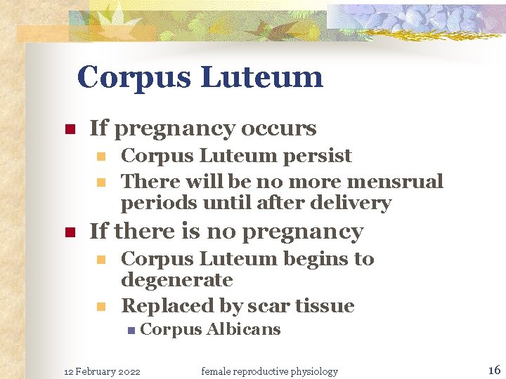 Corpus Luteum n If pregnancy occurs n n n Corpus Luteum persist There will