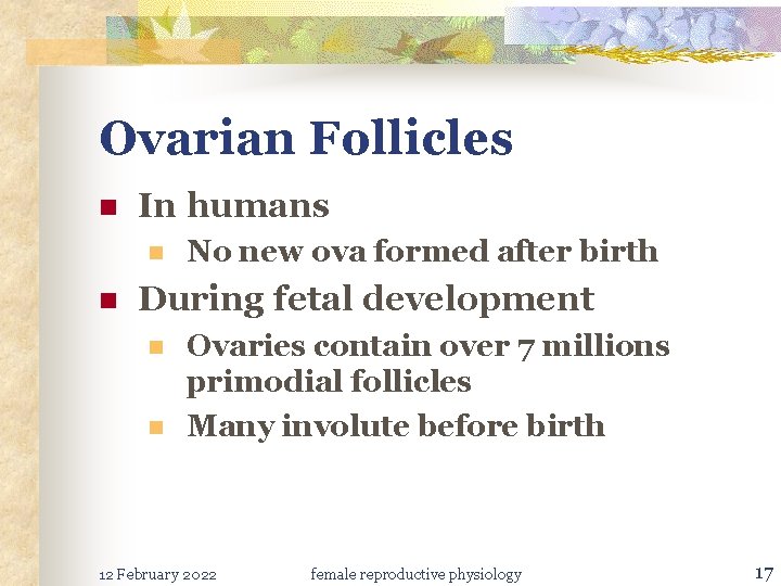 Ovarian Follicles n In humans n n No new ova formed after birth During