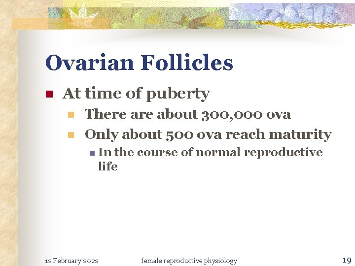 Ovarian Follicles n At time of puberty n n There about 300, 000 ova