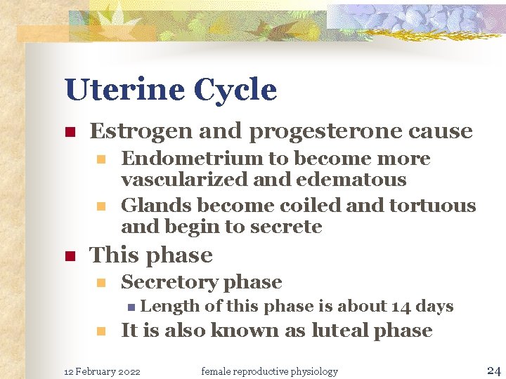 Uterine Cycle n Estrogen and progesterone cause n n n Endometrium to become more