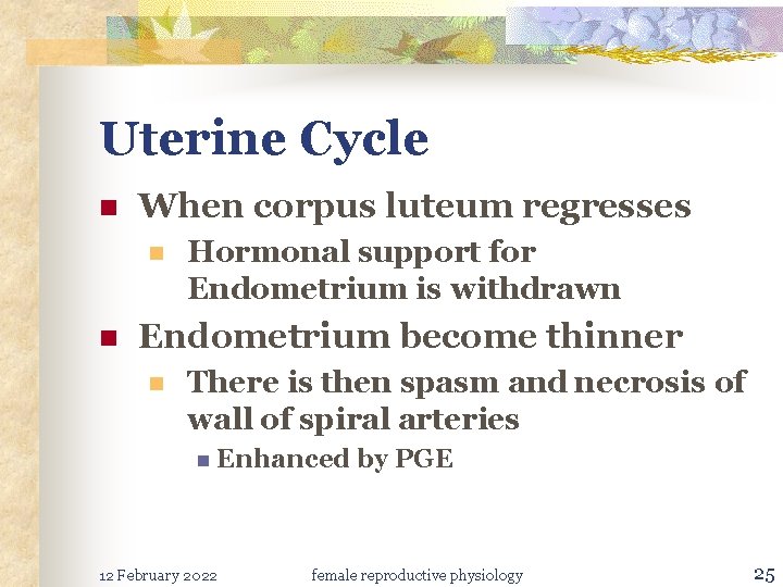 Uterine Cycle n When corpus luteum regresses n n Hormonal support for Endometrium is