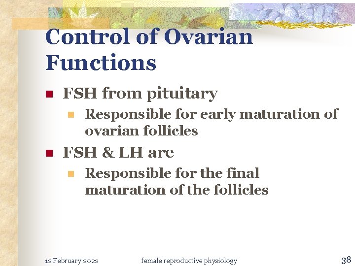 Control of Ovarian Functions n FSH from pituitary n n Responsible for early maturation