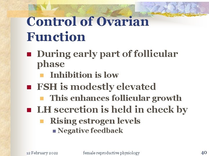 Control of Ovarian Function n During early part of follicular phase n n FSH