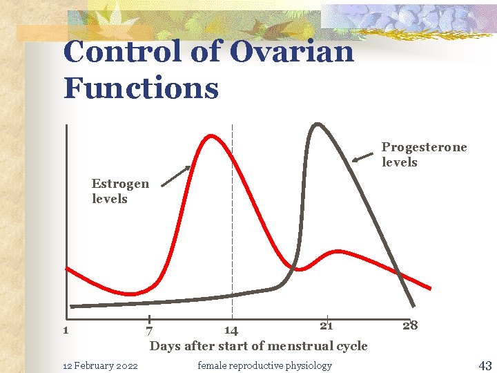 Control of Ovarian Functions Progesterone levels Estrogen levels 1 12 February 2022 21 7