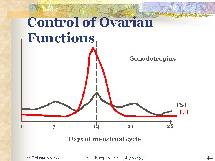 Control of Ovarian Functions Gonadotropins FSH LH 1 7 14 21 28 Days of