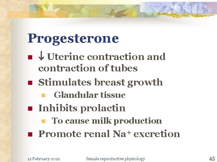 Progesterone n n Uterine contraction and contraction of tubes Stimulates breast growth n n