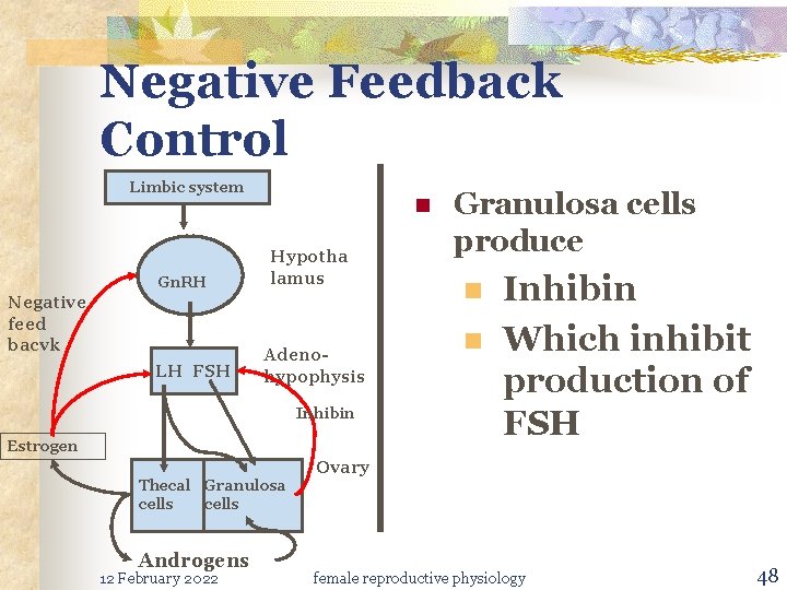 Negative Feedback Control Limbic system Gn. RH Negative feed bacvk LH FSH n Hypotha