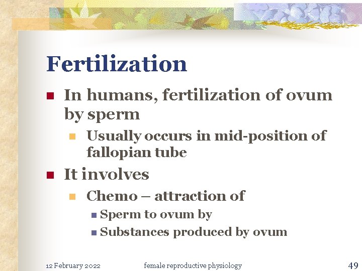 Fertilization n In humans, fertilization of ovum by sperm n n Usually occurs in