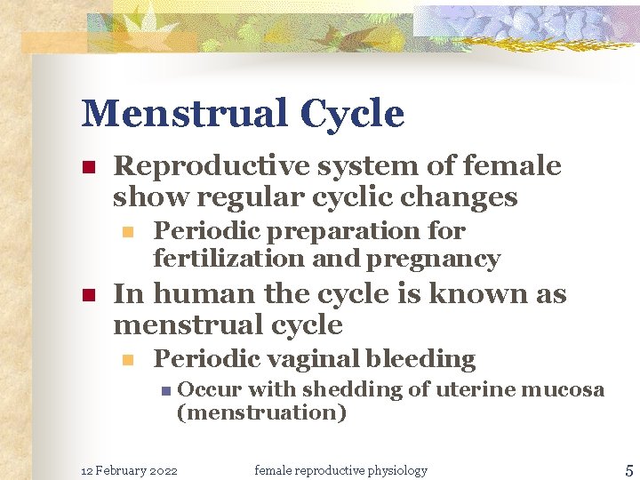 Menstrual Cycle n Reproductive system of female show regular cyclic changes n n Periodic