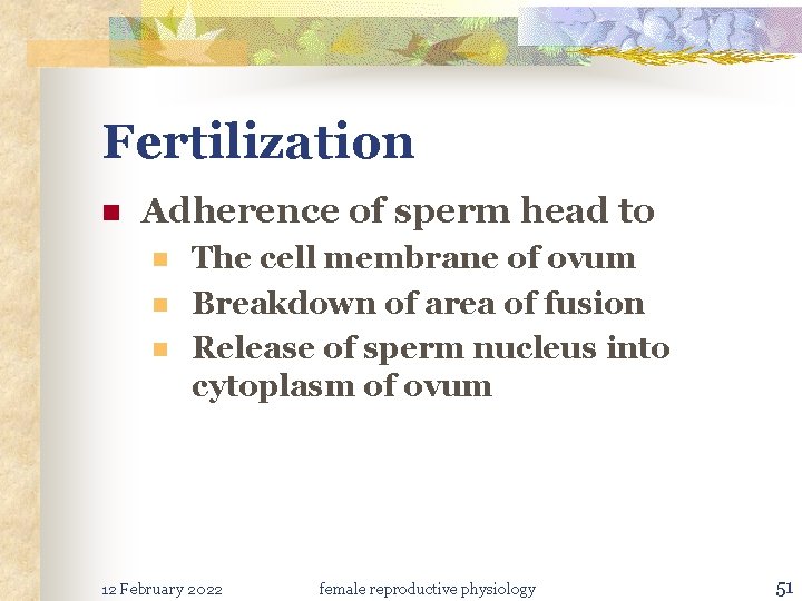 Fertilization n Adherence of sperm head to n n n The cell membrane of