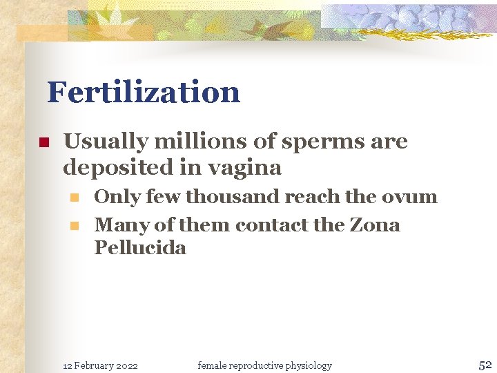 Fertilization n Usually millions of sperms are deposited in vagina n n Only few